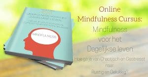 Online Mindfullness cursus review en ervaringen